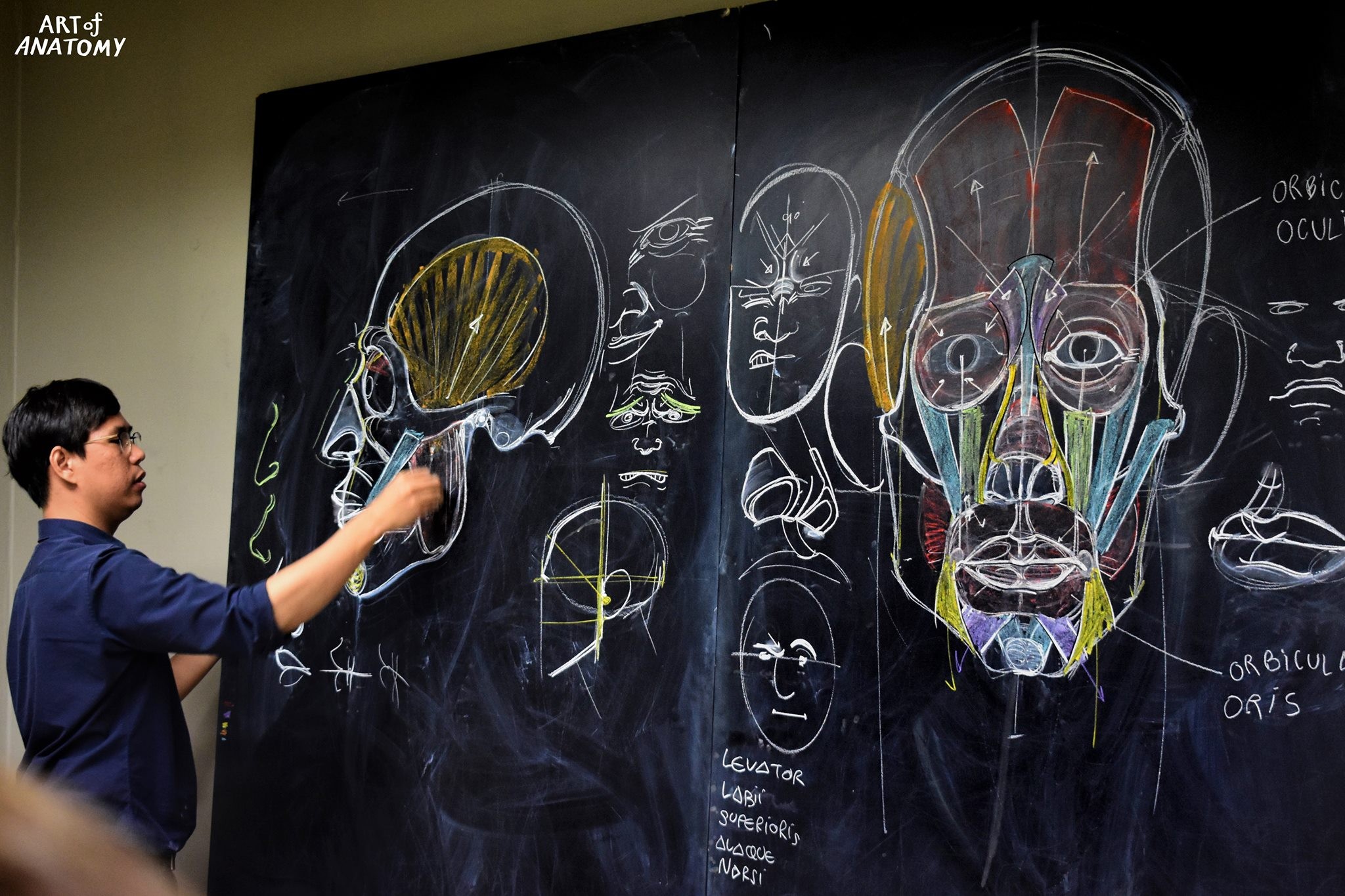 ▲▼泰國一位畫家開班教授「解剖學繪畫」，650種複雜骨骼肌全耀然紙上。（圖／翻攝自Facebook／ART of Anatomy）
