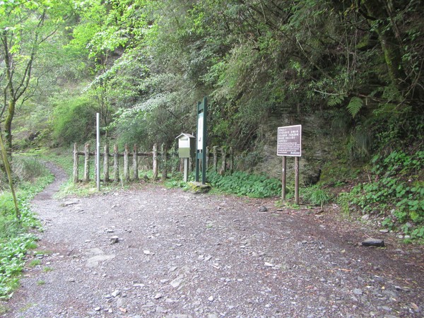 ▲▼畢祿山步道。（圖／翻攝「太魯閣國家公園管理處」官網）