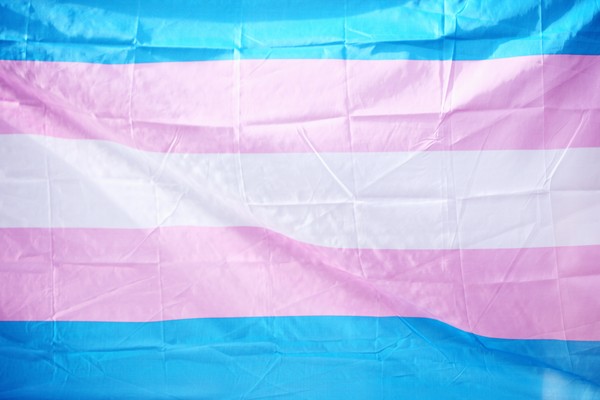 ▲▼跨性別者，跨性別，跨性別旗，跨性別旗幟。（圖／Sharon McCutcheon／取自免費圖庫unsplash）