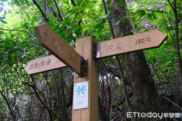 ▲暖東峽谷步道。（圖／記者彭懷玉攝）