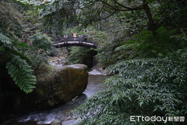 ▲暖東峽谷步道。（圖／記者彭懷玉攝）