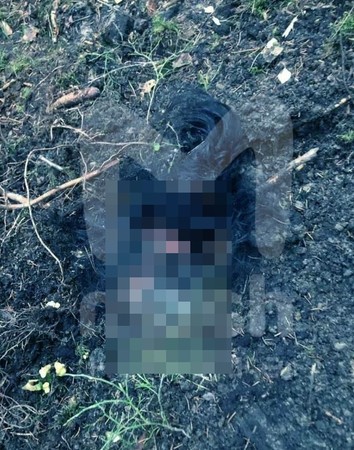 ▲▼女屍被發現埋在郊外，呈現詭異「土下坐」狀態。（圖／翻攝自megapolisonline.ru）