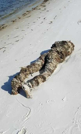  女志工在海灘上驚見一具斷頭屍體。（圖／翻攝自Ocean Hour臉書）