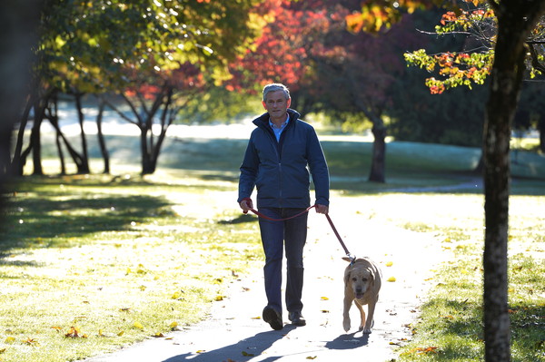 ▲▼狗勾羅西（Rosie）牽著牠的主人韋勤信在陽光下的公園漫步。（圖／路透）