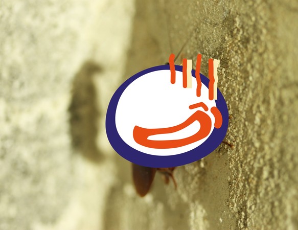 [圖]