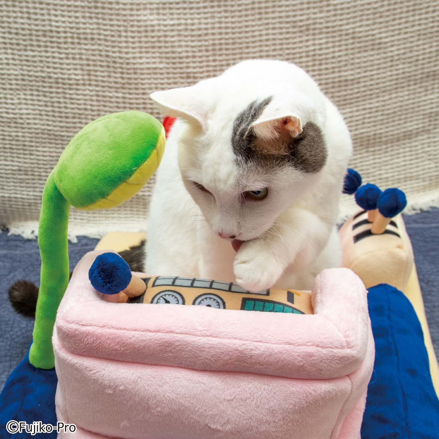 ▲哆啦A夢時光機寵物床。（圖／翻攝自felissimo.co.jp）