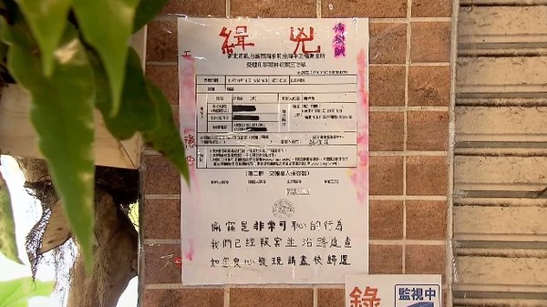 紙雕「鹿角蕨」盆栽擒賊 店主PO網網友讚爆（圖／東森新聞）
