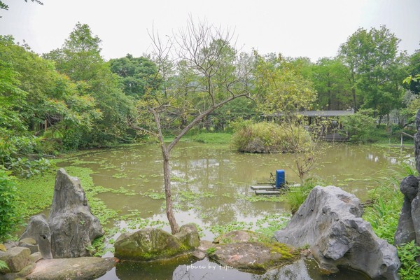 ▲▼準休閒農場。（圖／《小腹婆大世界》提供，以下皆同，請勿隨意翻拍以免侵權）