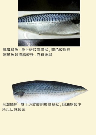 ▲挪威鯖魚、台灣鯖魚分辨。（圖／翻攝自Facebook／爆怨2公社）