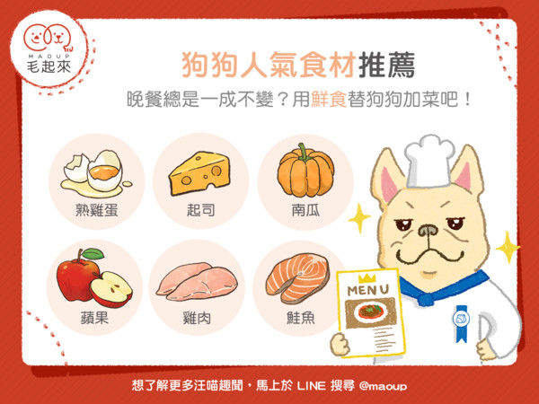 今日狗兒吃什麼好料？六樣人氣食材報你知