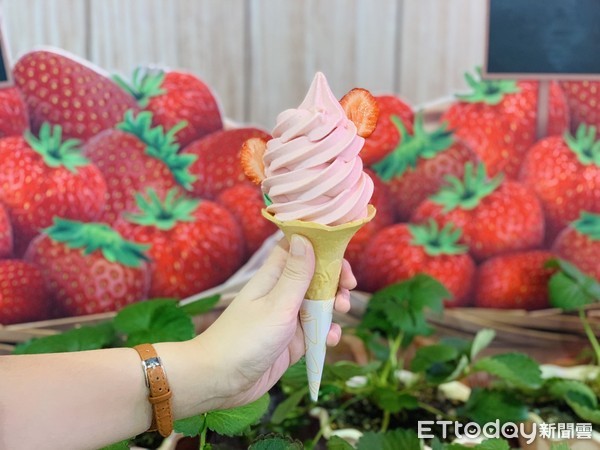 ▲▼大苑子莓好相遇、草莓冰品、霜淇淋。（圖／記者蕭筠攝）