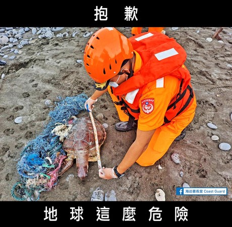 ▲海龜垃圾堆慘死雲林　海巡署：讓大家相當痛心。（圖／翻攝自「海巡署長室 Coast Guard」臉書粉專）