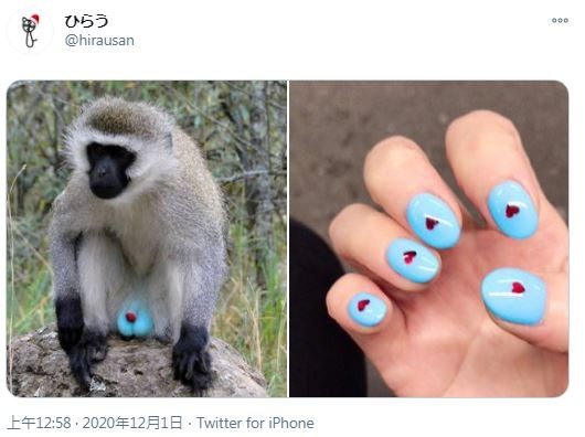 櫻花妹美甲撞色黑面長尾猴「藍蛋蛋」。（圖／翻攝自推特／＿@hirausan）