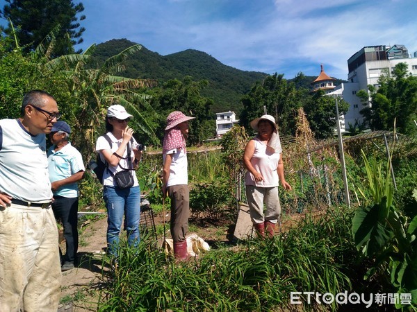 ▲「世界土壤日」從土地到餐桌 淡水忠寮社區友善耕作護生態。（圖／新北市農業局提供）