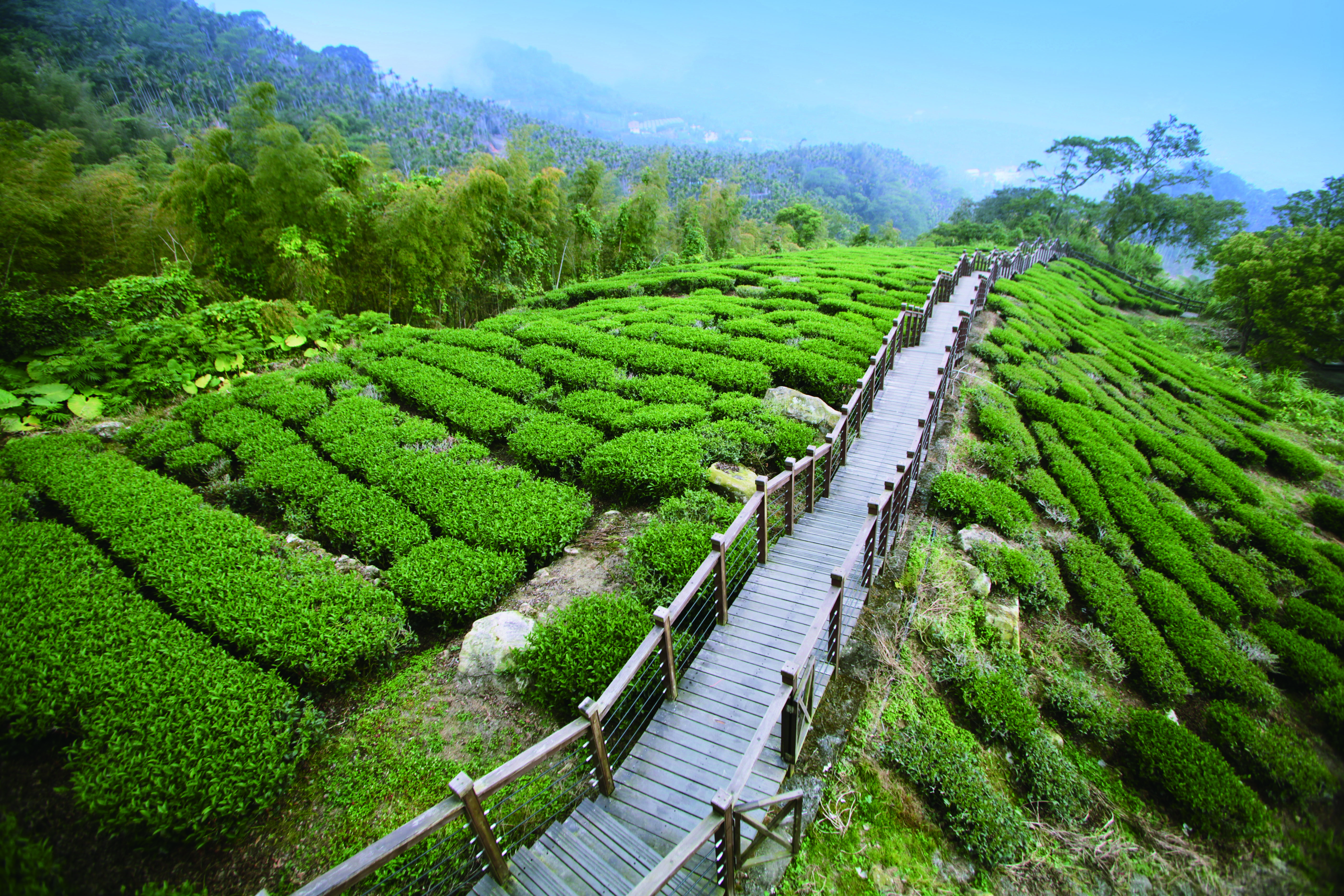 嘉義縣推百萬景色步道雲海瀑布茶園美靜盡入眼簾 Ettoday旅遊雲 Ettoday新聞雲