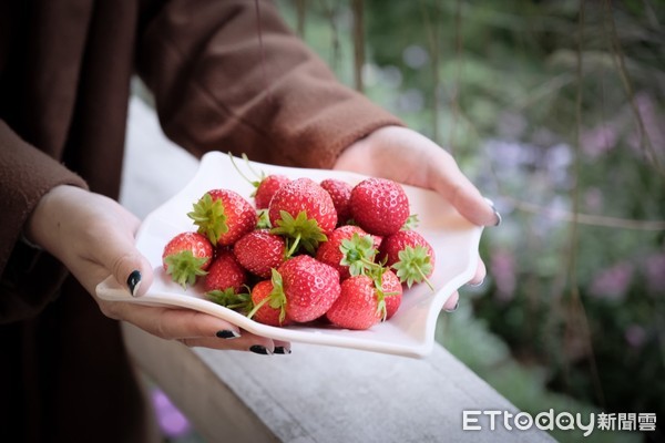 ▲莓圃庭園咖啡,草莓,草莓甜點。（圖／記者彭懷玉攝）
