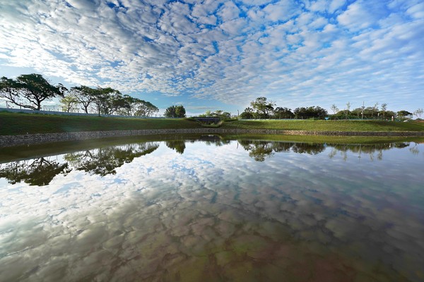 ▲樹林館前路環保公園旁，一座「沐心池」將於年底完工。（圖／高管處提供）