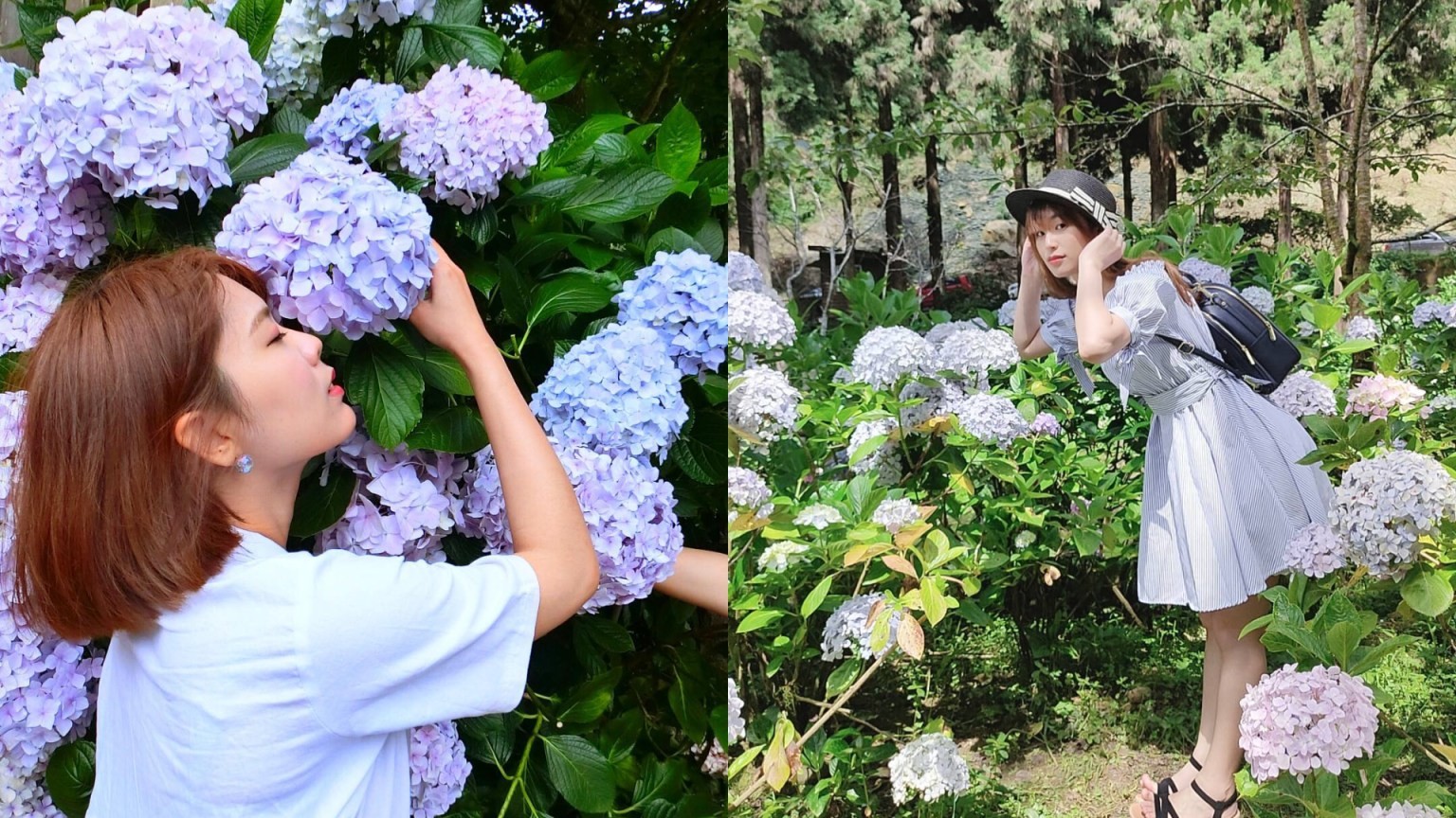 ▲南投賞花。（圖／女子學）