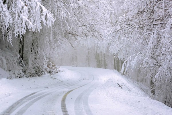 ▲▼ 雪地,積雪,冬季 。（圖／取自免費圖庫pixabay）
