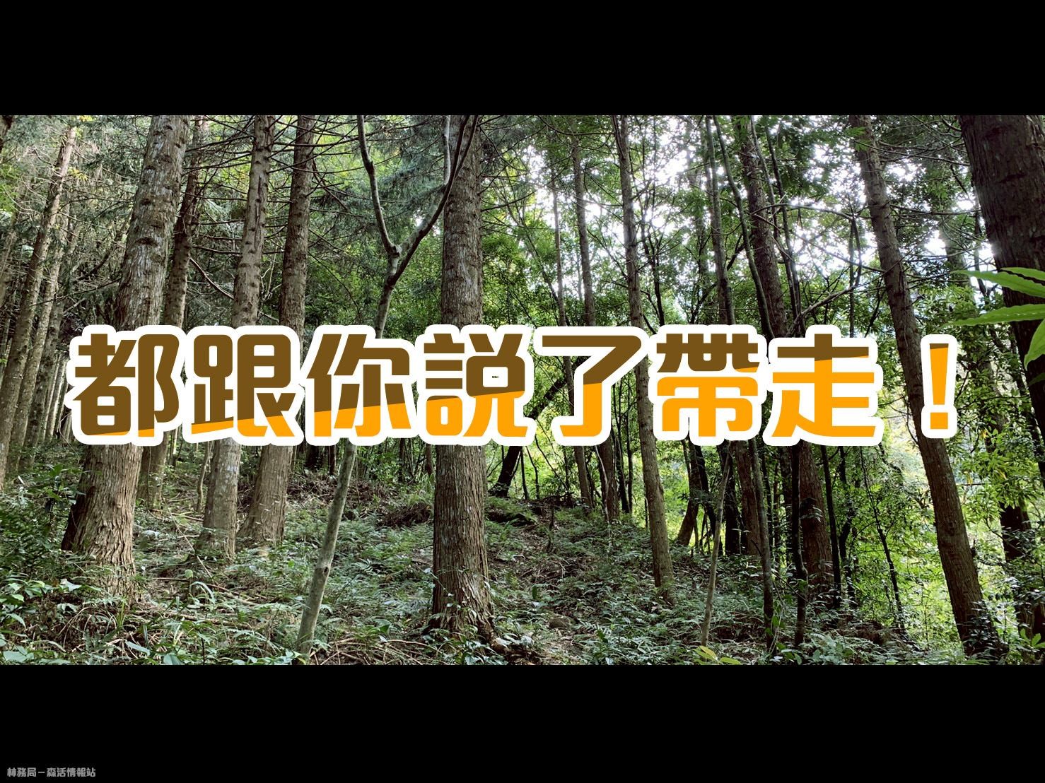 ▲林務局在臉書呼籲民眾將「小白花」順手帶下山。（圖／翻攝自臉書／林務局-森活情報站）