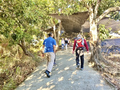 一家3口爬大坑步道「妻消失整晚」　警摸黑搜救卻在超商找到她