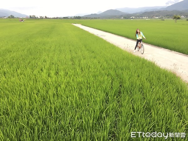 ▲雄獅「鳴日號列車」太夯，今開賣秘境環島行、宜花三日。（圖／雄獅旅遊提供）