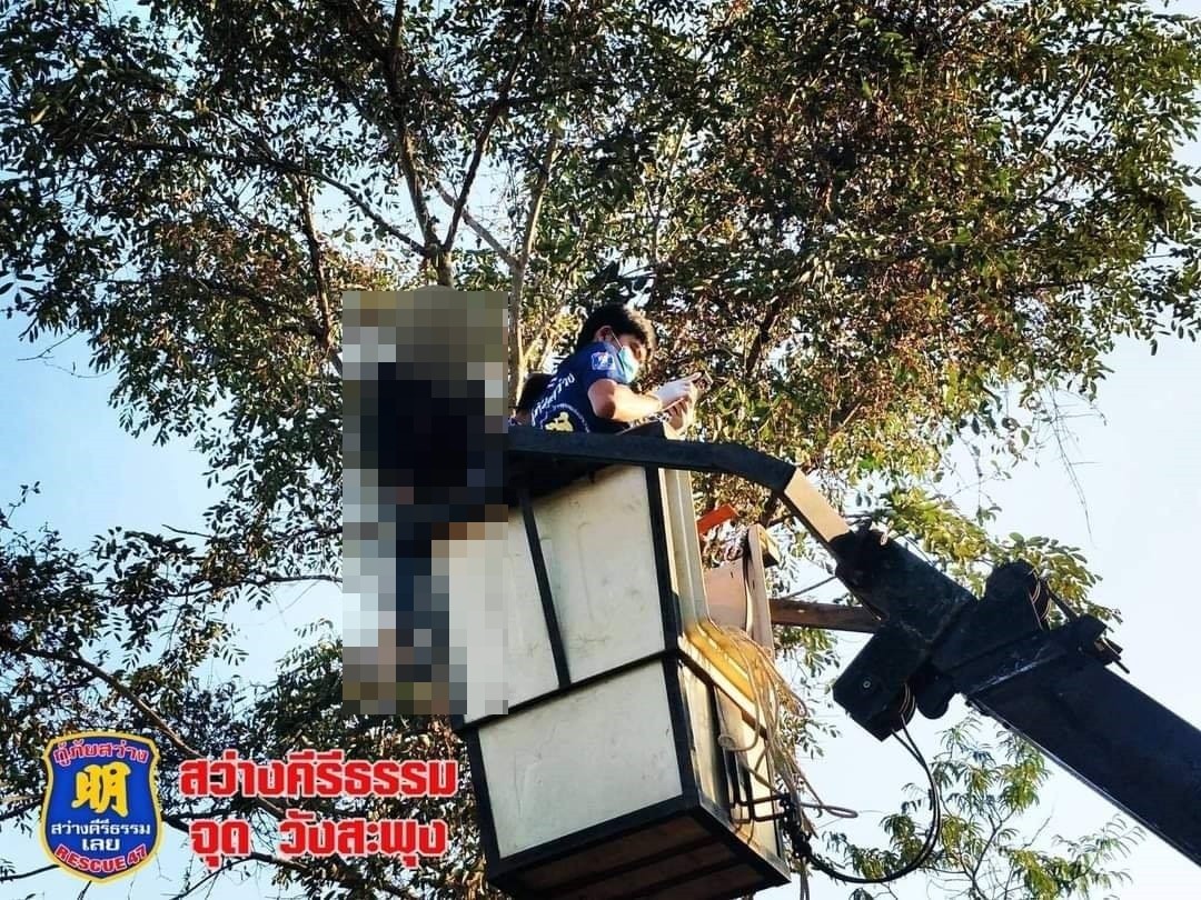 ▲▼男6公尺樹枝上吊身亡　村民路過嚇傻「有人浮在空中」。（圖／翻攝自臉書／มูลนิธิสว่างคีรีธรรม จังหวัดเลย）