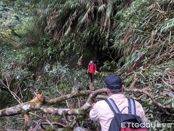 ▲▼登山隊伍奇萊路12.5公里處碰到新崩塌地無法通過，由搜救人員另闢路徑架繩索協助脫困。（圖／花蓮消防局提供，下同）