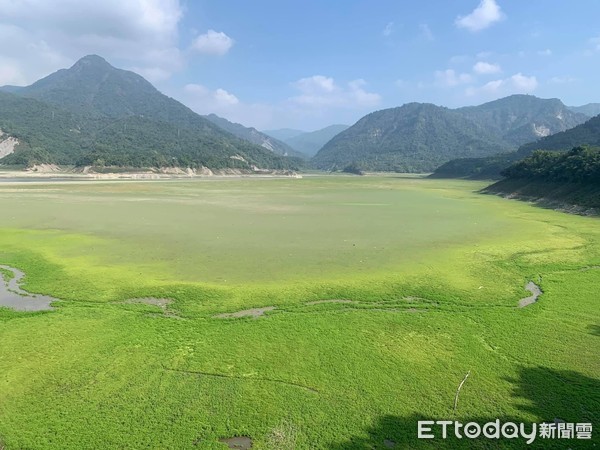 ▲曾文水庫水情拉警報，底部成青青草原。（圖／攝影師呂竑毅提供）