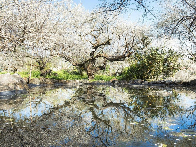 到南投 踏雪 去 信義鄉最佳賞梅期曝光必拍夢幻雪白隧道 Ettoday旅遊雲 Ettoday新聞雲