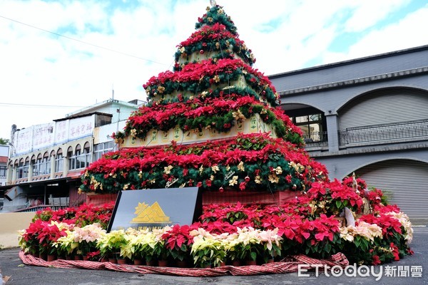 ▲桃園山城聖誕紅花節。（圖／記者彭懷玉攝）