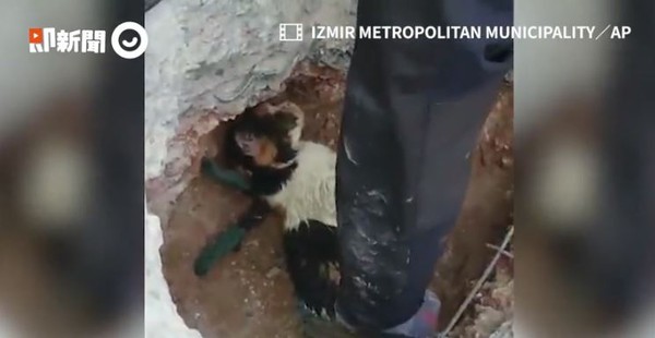 ▲地底傳慘叫聲！土耳其消防員徒手挖出「超美三花貓」，獲救後狂吃。（圖／即新聞提供。）