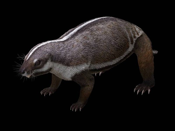 ▲馬達加斯加發現和恐龍同期的哺乳動物化石。（圖／路透）