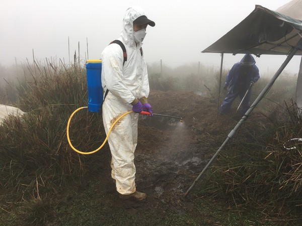 ▲▼北市動保處主動前往擎天崗勘查牛隻死亡狀況，搬運牛體下山後徹底進行消毒。（圖／動保處提供）