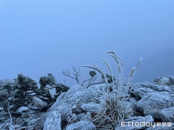 ▲▼2020.12.20玉山未降下初雪，但山頂結霜凍成一片銀白。（圖／玉管處提供）