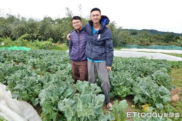 ▲新北「好蒔光有機農園」藏青農兄弟情 冬至有機菜暖胃又暖心。（圖／新北市農業局提供）