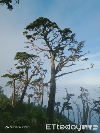 ▲▼北大武山「新手登山潮」2天3意外！檜谷山莊莊主10點救命文被讚爆。（圖／「檜谷山莊」莊主吳德發授權提供）