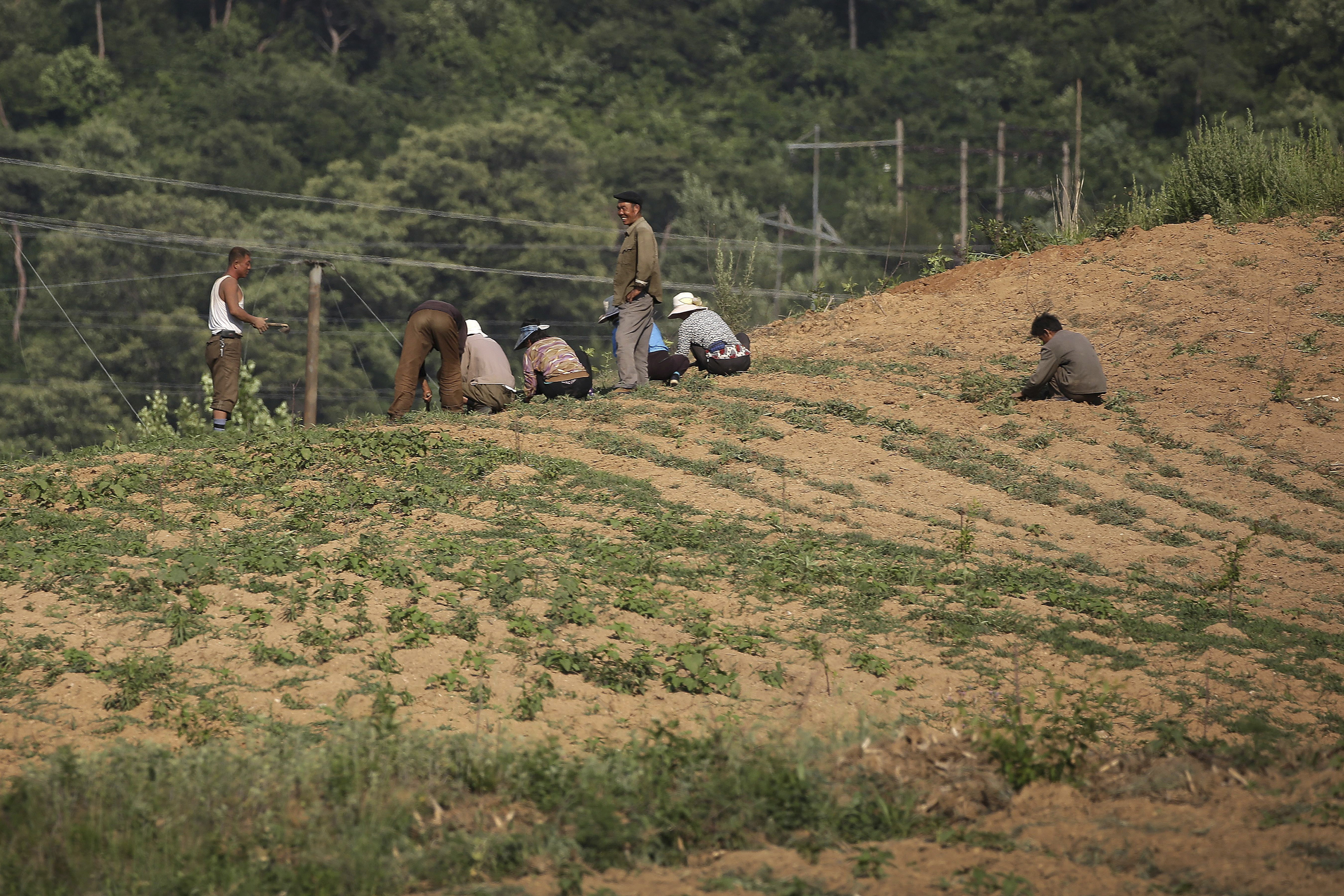 ▲▼消息人士透露，北韓農地貧乏、不肥沃，且農耕器具短缺。（圖／達志影像／美聯社）