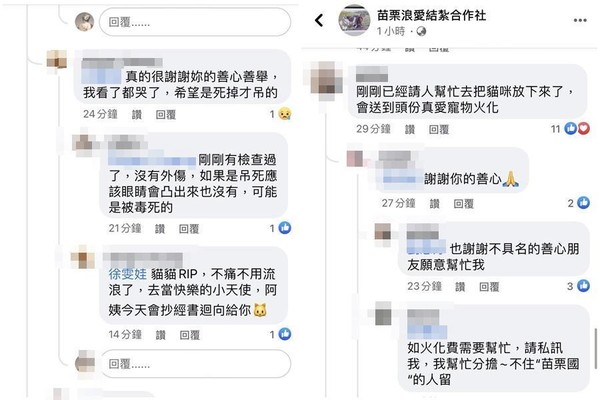 善心網友前往救援，推測被毒死吊掛樹上。（翻攝自「苗栗浪愛結紮合作社」臉書）