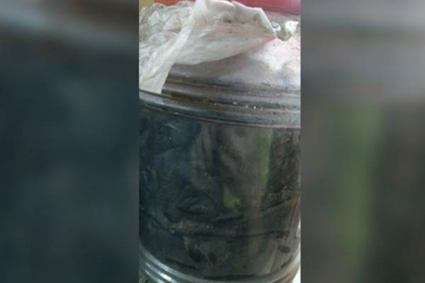 ▲老菜脯。（圖／翻攝自爆料公社）