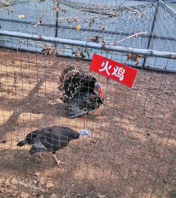 ▲▼史上最敷衍動物園（圖／翻攝自微博／我與老公的日常）