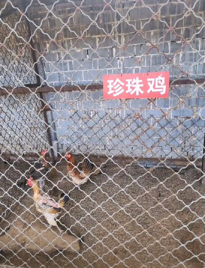 ▲▼史上最敷衍動物園（圖／翻攝自微博／我與老公的日常）