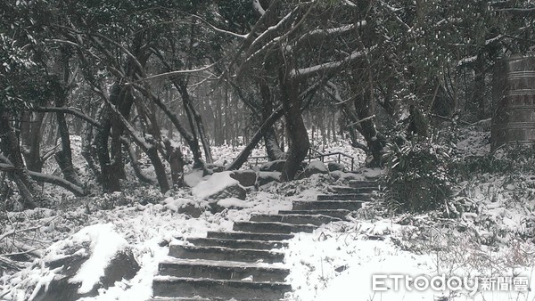 ▲2016年霸王級寒流來襲時，竹子湖曹家花田香農田被雪覆蓋。（資料照／曹家花田香提供）