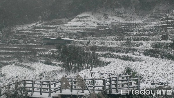 ▲2016年霸王級寒流來襲時，竹子湖曹家花田香農田被雪覆蓋。（資料照／曹家花田香提供）