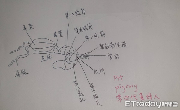 ▲肉身實測被蜜蜂螫。（圖／網友堯仔授權使用，未經同意請勿隨意翻攝，以免侵權）