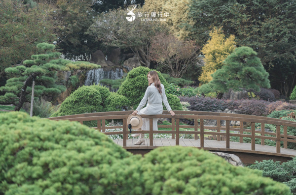 元旦連假偽出國！台版兼六園、葡萄牙彩虹街景一次享受       。（圖／成美文化園提供）