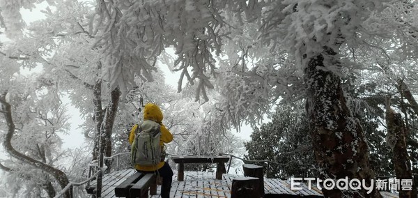 ▲▼太平山山毛櫸步道。（圖／網友劉斌書提供）