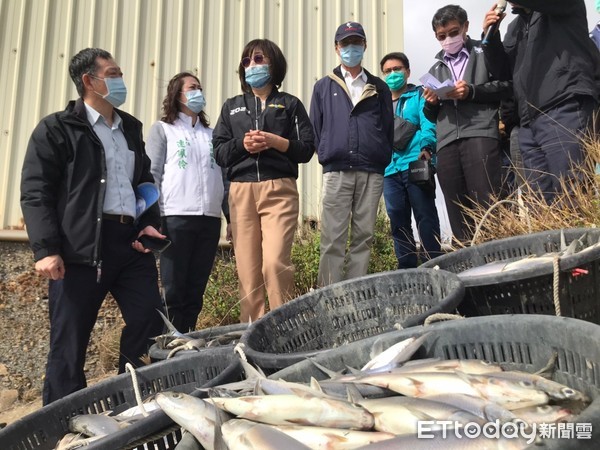 ▲台西的文蛤虱目魚混養池有1000公頃，其中700公頃都受到影響，每池受害面積皆達三、四成以上。（圖／記者蔡佩旻翻攝）