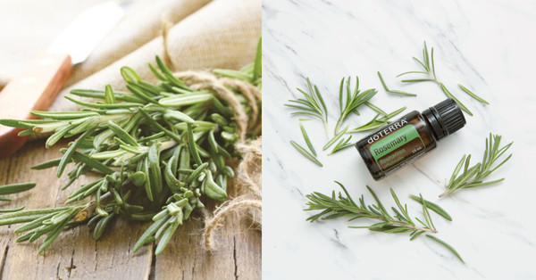 ▲▼初學者入門5種精油功效推薦！不要只知道薰衣草能助眠，「這個」抗憂鬱都不成問題。（圖／Bella儂儂提供）