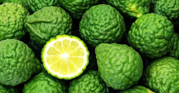 ▲▼初學者入門5種精油功效推薦！不要只知道薰衣草能助眠，「這個」抗憂鬱都不成問題。（圖／Bella儂儂提供）